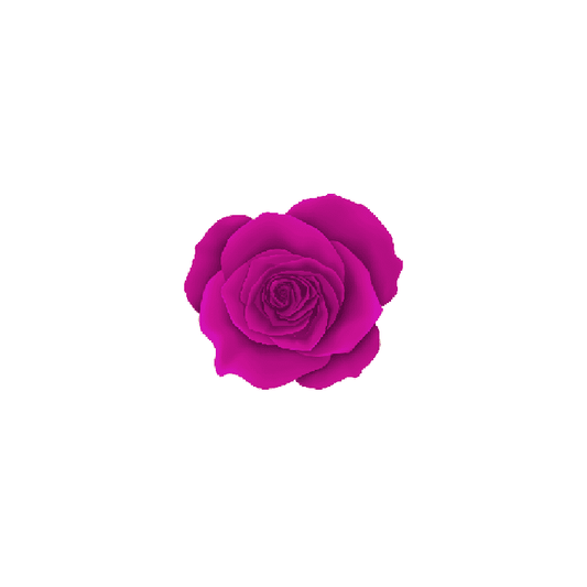 4D24 - FUCSIA VIBRANTE - 5g